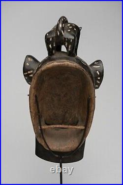 030 Masque Leopard Baoule, Baule Mask, Art Tribal Premier Africain