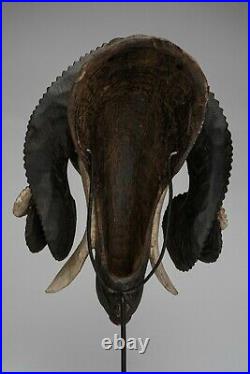 237 Masque Belier Baoule, Ram Baule Mask, Art Tribal Premier Africain
