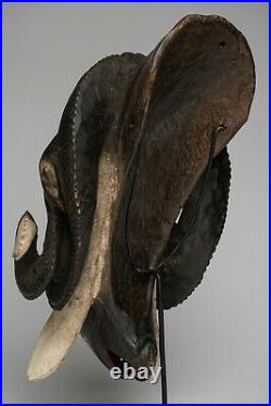 239 Masque Belier Baoule, Ram Baule Mask, Art Tribal Premier Africain