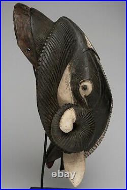239 Masque Belier Baoule, Ram Baule Mask, Art Tribal Premier Africain
