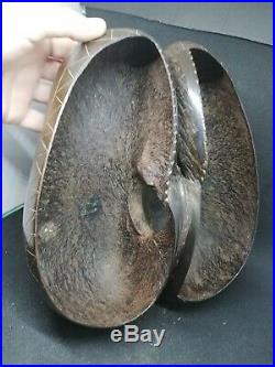 Ancien Panier Coco-Fesse des Seychelles-Graine du Cocotier de mer /28cm