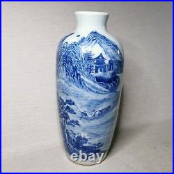Antique Chinese blue and white porcelain vase, 19th-20th century