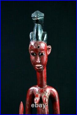 Art Africain Afrikanische Kunst Cavalier Syonfolo Senoufo Mami Wata 52 Cms