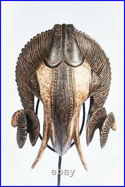 Art Africain Ancien, Art Premier, Masque Belier Baoule, Ram Baule Mask -d135c