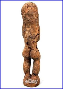 Art Africain Ancien Singe Baoulé Crane de Singe Monkey Skull 29 Cms ++++