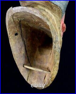 Art Africain Ethnographique Imposant Masque de Portage du Mblo Baoulé 49 Cms