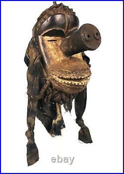 Art Africain Spectaculaire Masque de Portage Kran Nez de Cochon 27 Cms +++