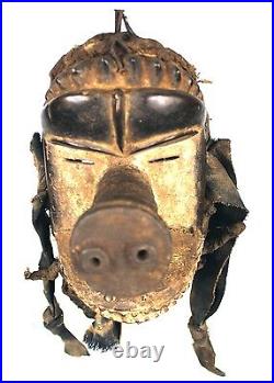 Art Africain Spectaculaire Masque de Portage Kran Nez de Cochon 27 Cms +++