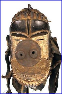 Art Africain Spectaculaire Masque de Portage Kran Nez de Cochon 27 Cms +++