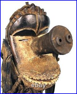 Art Africain Spectaculaire Masque de Portage Kran Nez de Cochon 27 Cms +++