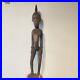 Art-Africain-Statue-Senoufo-Environ-50cm-01-zjr
