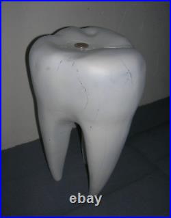 Cabinet de curiosités dentiste dent géante molaire en bois 35cm! Port offert