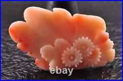 Corail antique (1,7 pouces, 120 carats) Certificat OBIDOME de chrysanthème