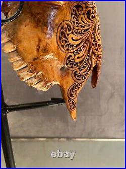 Crâne de bélier à décor richement ajouré Dayak Bornéo Indonésie