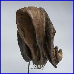 D014 Masque Belier Baoule, Ram Baule Mask, Art Tribal Premier Africain