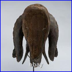 D014 Masque Belier Baoule, Ram Baule Mask, Art Tribal Premier Africain