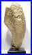 Ganesh-Sculpte-En-Os-De-Mammouth-Ganesh-Carved-In-Mammuth-Bone-01-bnvb