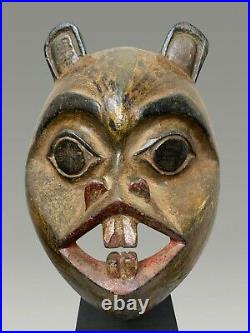 Masque Haida, Colombie Britannique representant un Castor