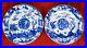 Paire-De-Plats-En-Porcelaine-Emaillee-Bleu-Et-Blanc-39-Diam-Kangxi-1661-1722-01-mhff
