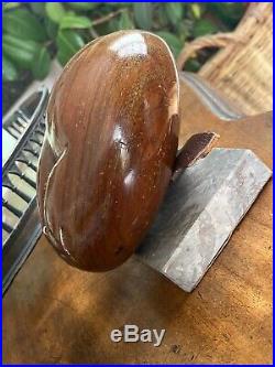 Rare Seychelles Coco De Mer Fesse Double Nut Curiosité 1900 Support Marbre Cuir
