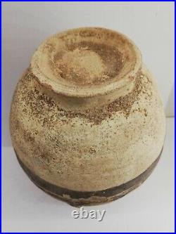 Vase En Terre Cuite Zoomorphe Pérou Chancay